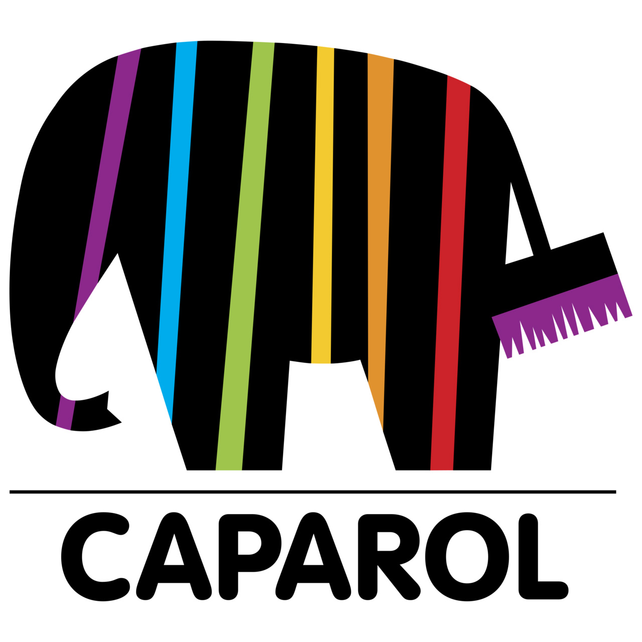 https://www.caparol.hr/